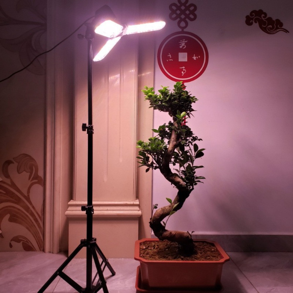 Glühbirnenständer 2M, E27 AC-S – Lighting In Photography Studio Bewertung und Preis