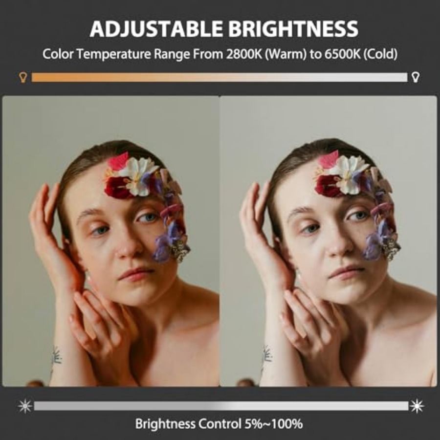 60W COB LED-Videoleuchte, trag – Lighting In Photography Studio Bewertung und Preis